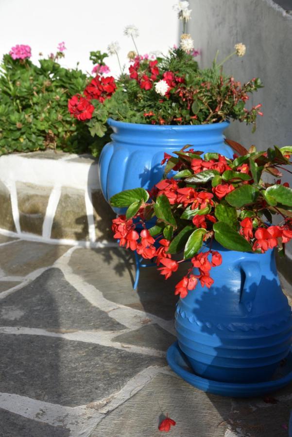 Cavo D'Oro Hotel Batsi  Luaran gambar
